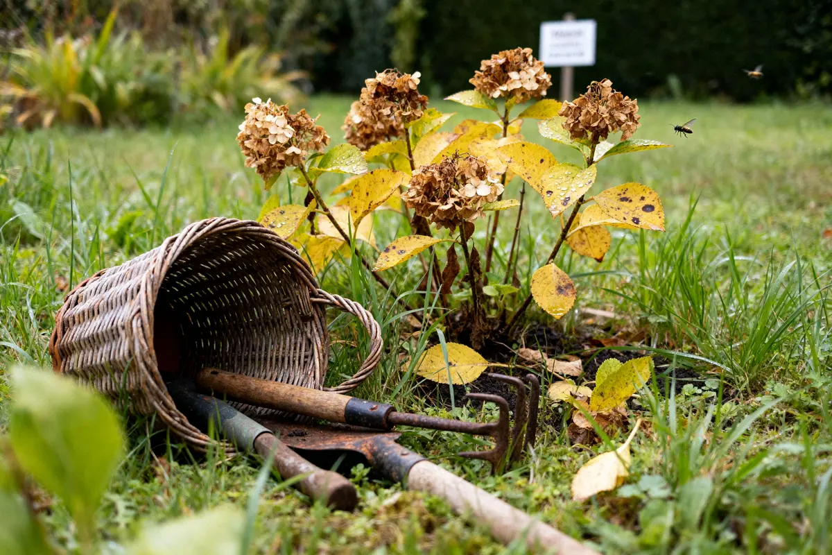 Mon jardin propre avis : Vérité, signalements et remboursement ?