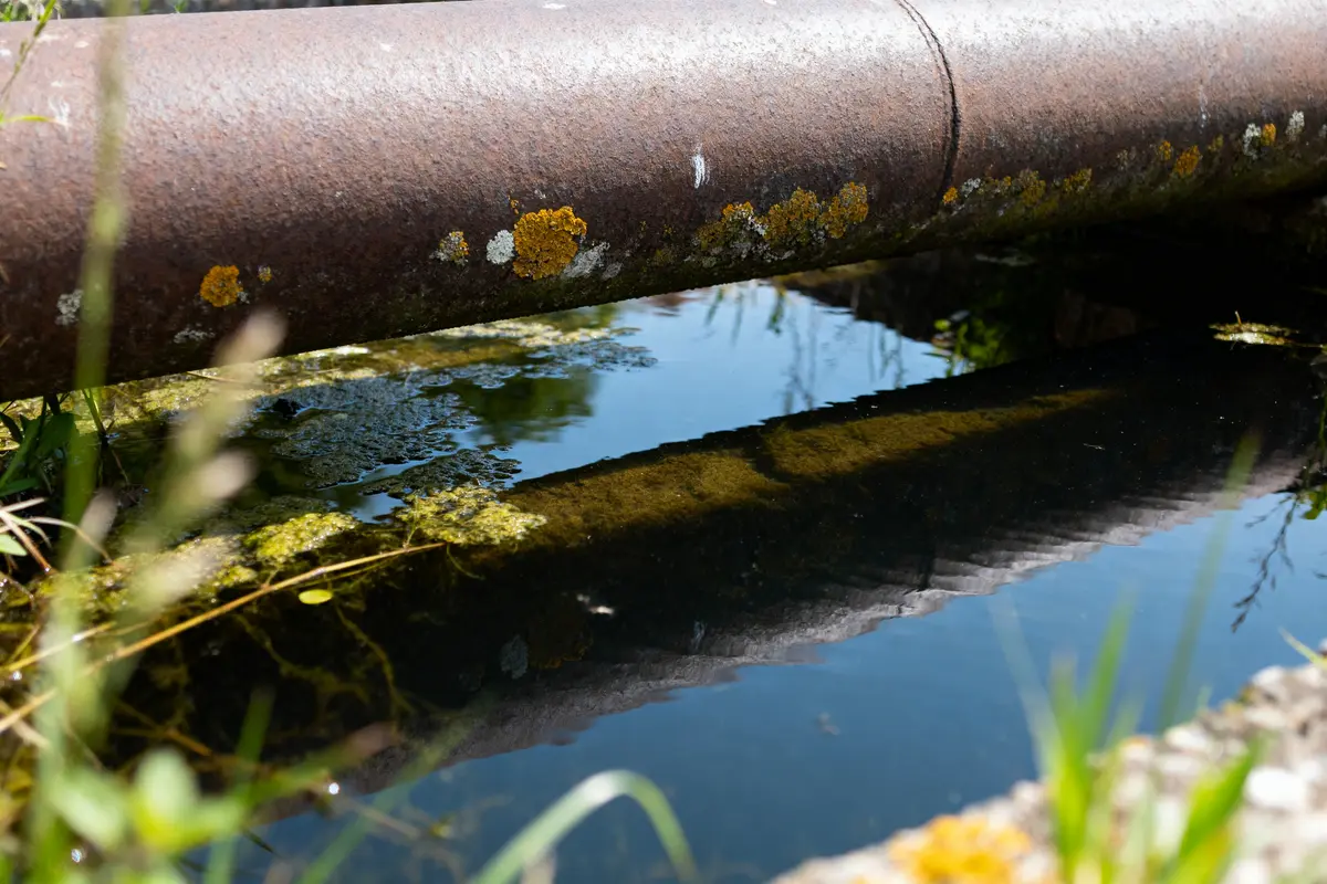 Eau Stagne : Pourquoi, risques et solutions à connaitre ?
